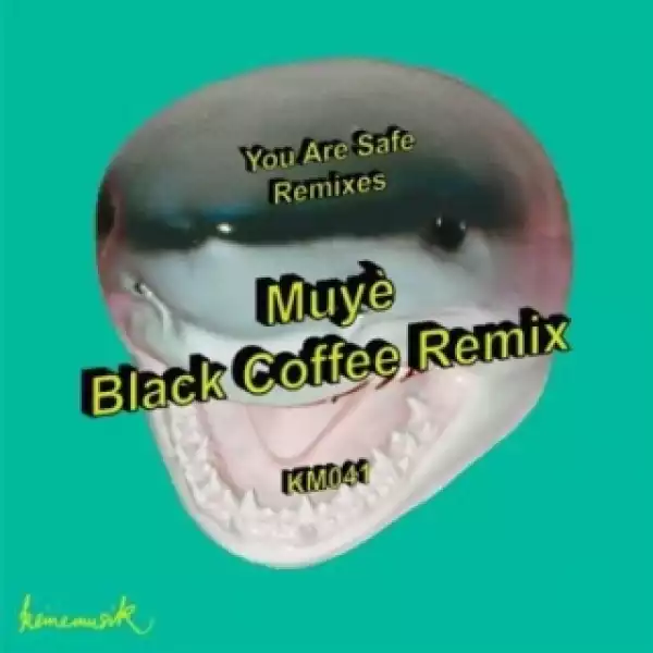 Black Coffee, Rampa, Adam Port - Muyè (Black Coffee Remix)